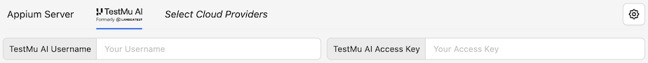 TestMu AI Server Details