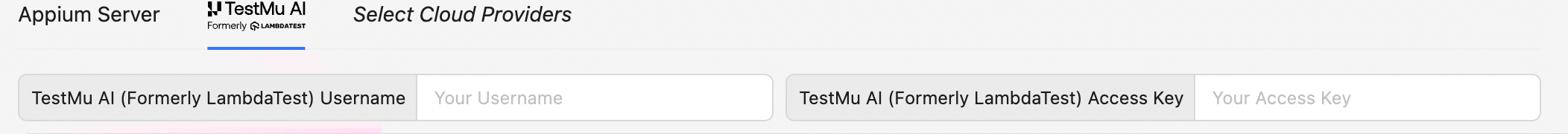 TestMu AI Server Details