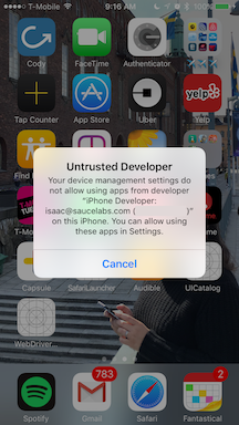 Untrusted developer